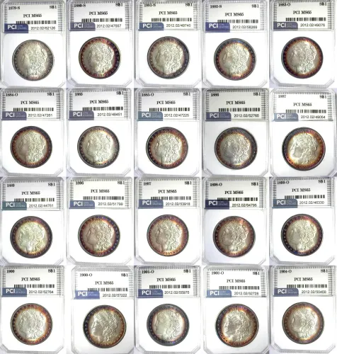 Morgan Dollars 20 Mixed Date Pack in MS-65