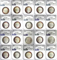 Morgan Dollars 20 Mixed Date Pack in MS-66